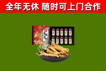 常宁市回收冬虫夏草价格